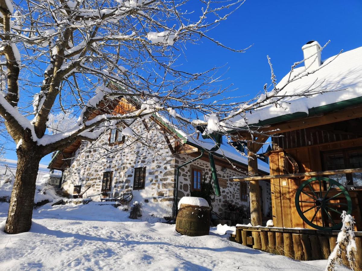 Ferienhaus Friedlhof Langschlag  Bagian luar foto